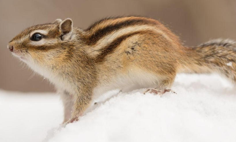 烟台合益利商贸有限公司轮播图2